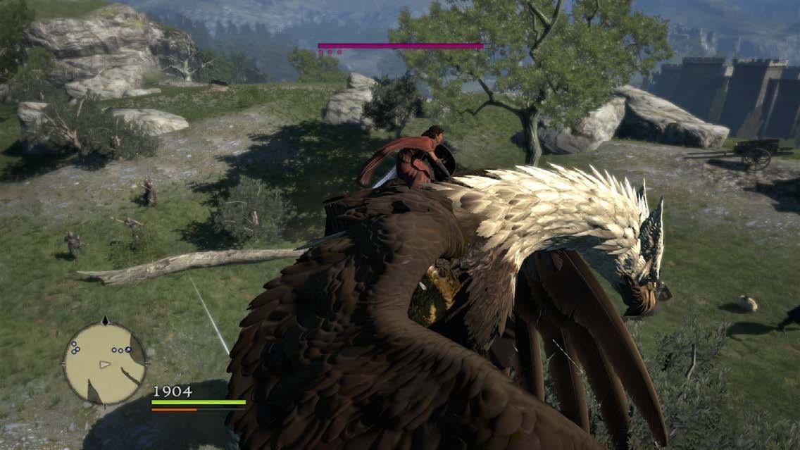 Dragon's Dogma
